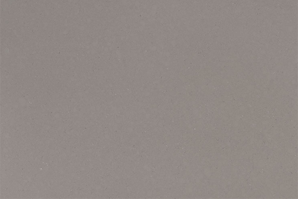 Fossil Gray – Quartz