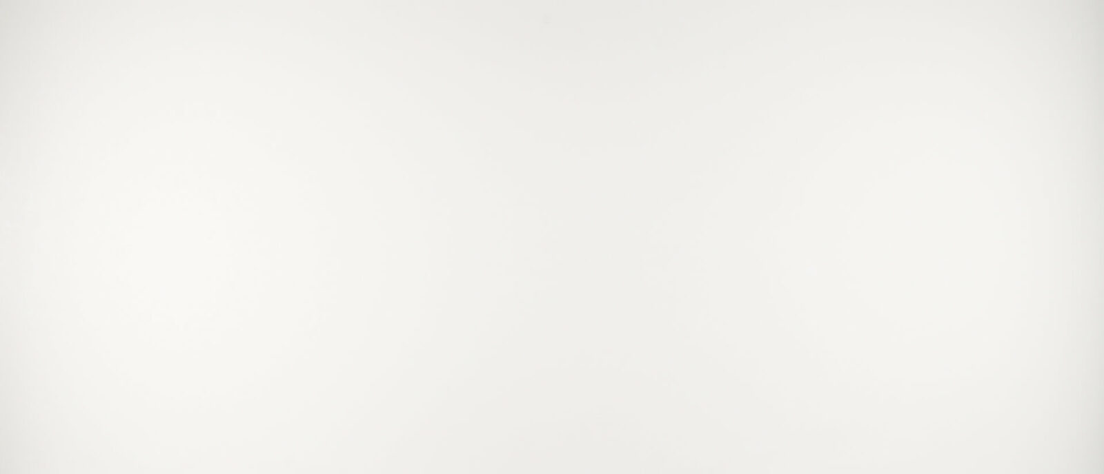 Arctic White – Quartz
